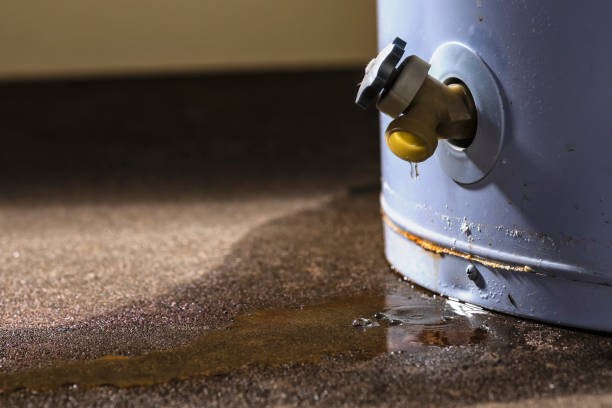  Platte City, MO Water damage restoration Pros