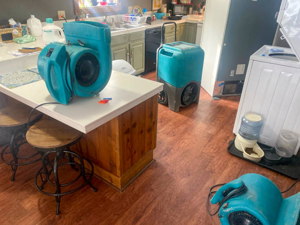 Best Ceiling water damage repair  in Platte City, MO