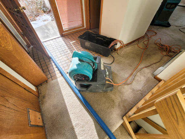 Best Fire Damage Restoration  in Platte City, MO