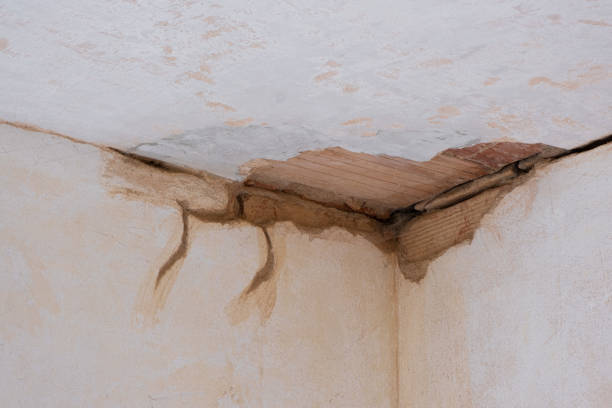Best Water damage restoration near me  in Platte City, MO