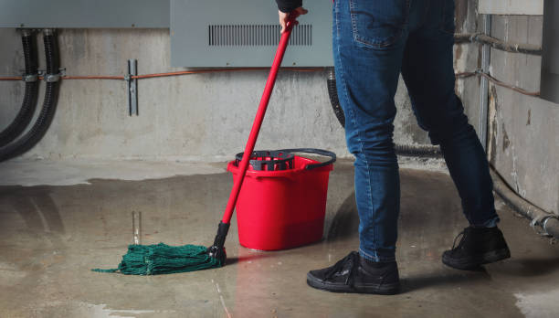 Best 24/7 water damage repair  in Platte City, MO