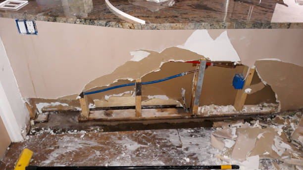 Best Flood damage cleanup  in Platte City, MO