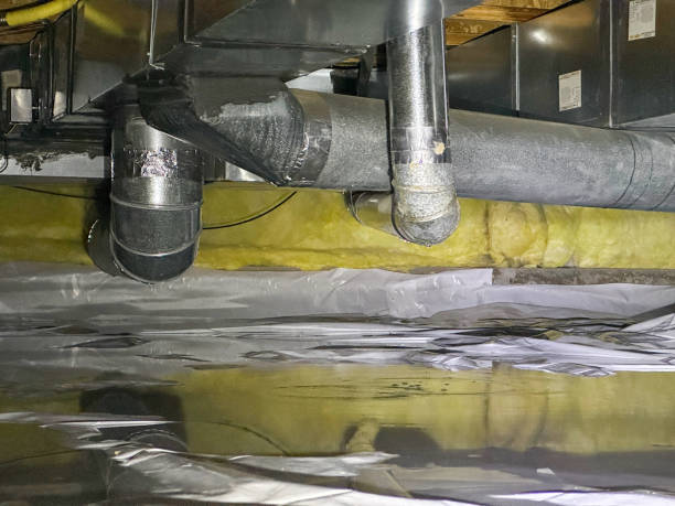 Best Basement water damage restoration  in Platte City, MO