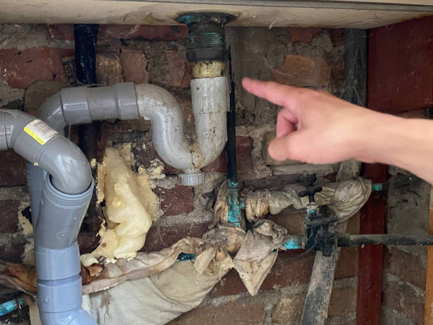 Best Water damage restoration mold remediation  in Platte City, MO