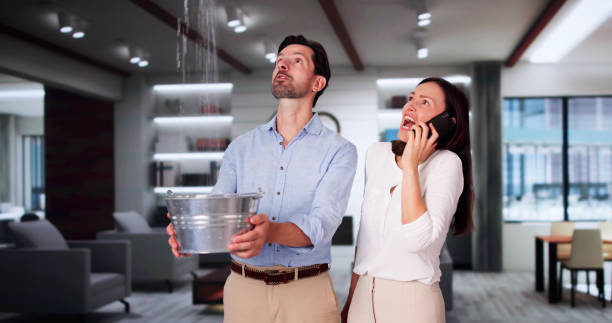 Best Professional water damage repair  in Platte City, MO